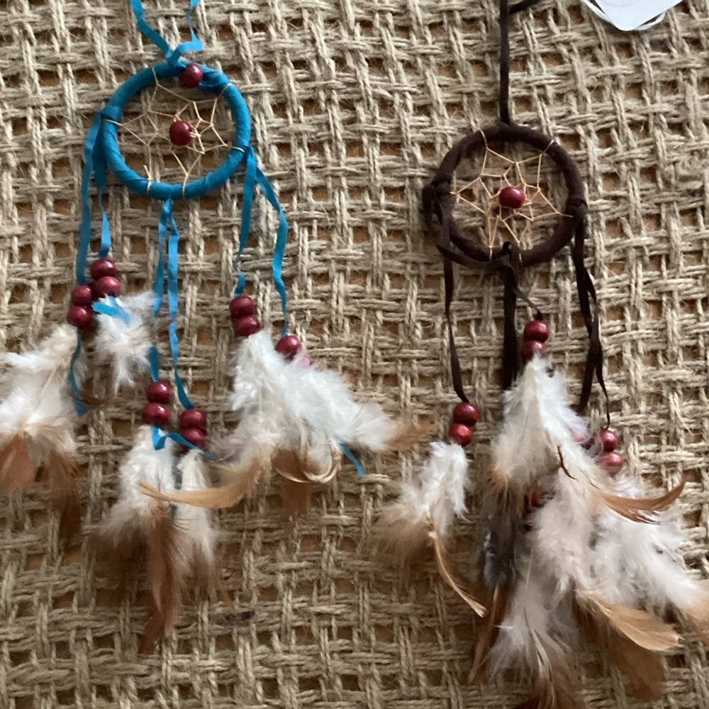 Whimsical Kids Dream Catcher Set - Blue and Brown